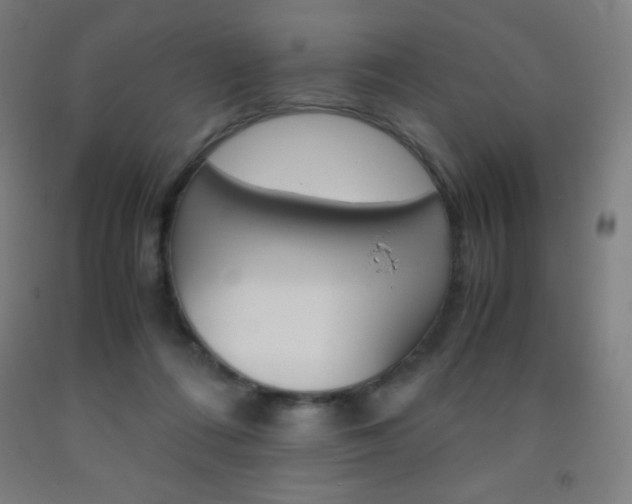 X0000093120312200709261020