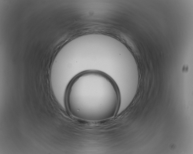 X0000093120313200709261020