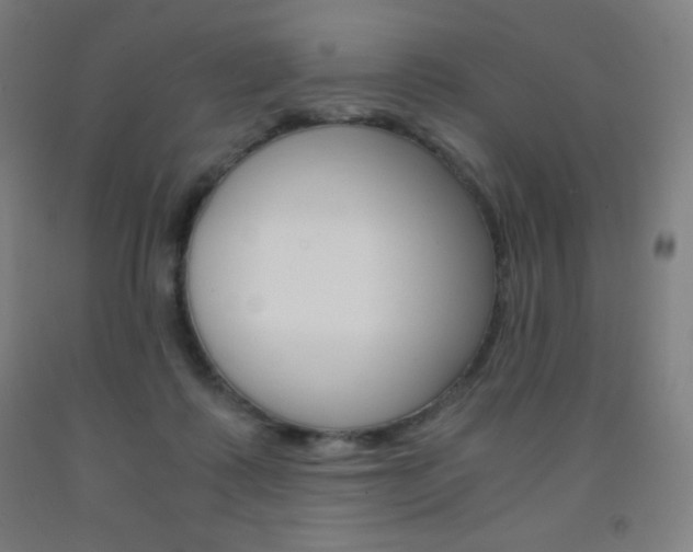 X0000093120315200709261020