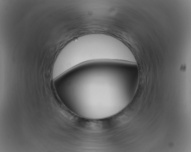 X0000093120317200709261020