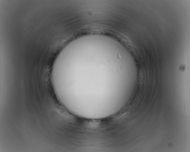 X0000093120318200709261020