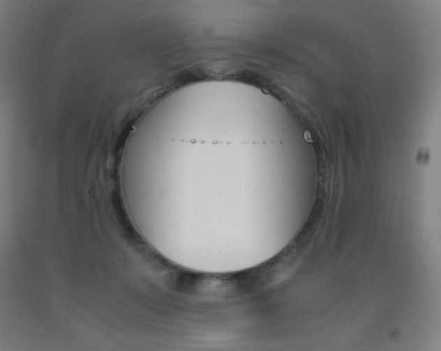 X0000093120319200709261020