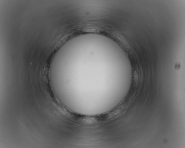 X0000093120322200709261020