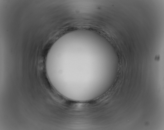 X0000093120323200709261020