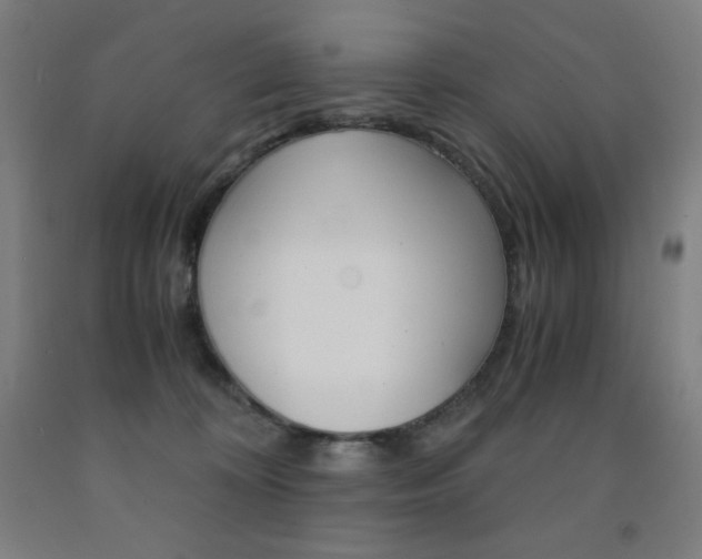 X0000093120324200709261020
