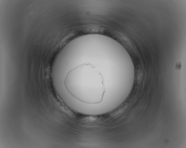 X0000093120326200709261020