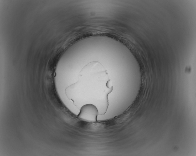 X0000093120327200709261020