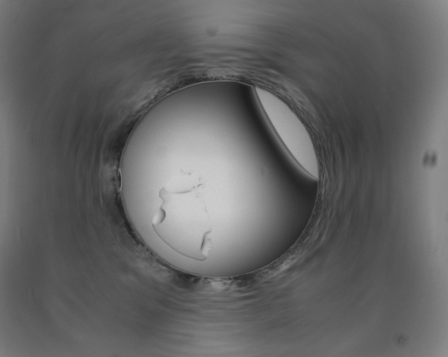 X0000093120329200709261020