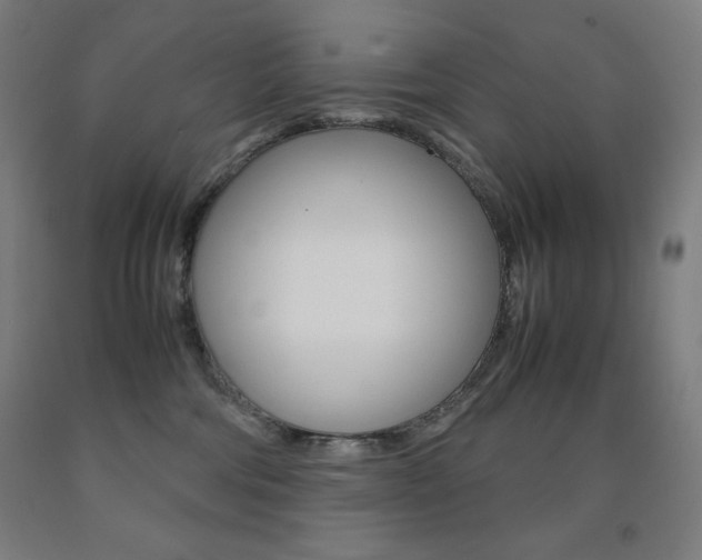 X0000093120330200709261020