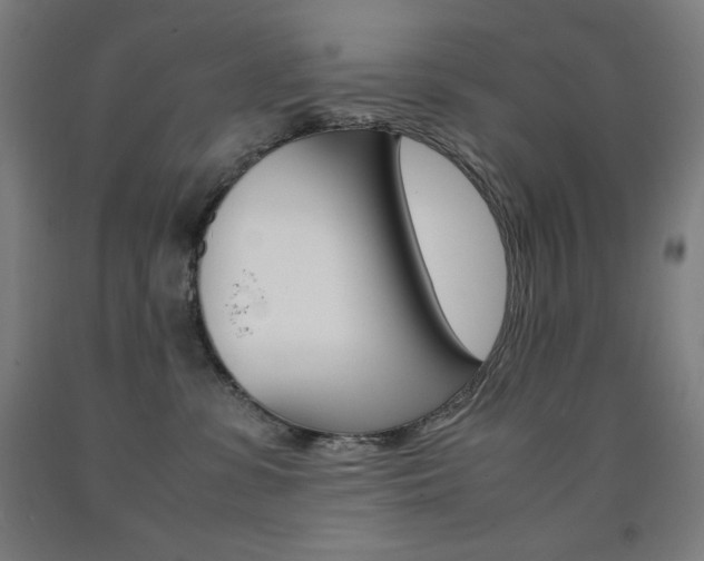X0000093120331200709261020