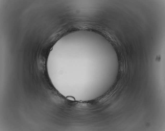X0000093120332200709261020