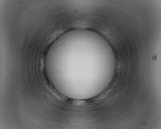 X0000093120334200709261020