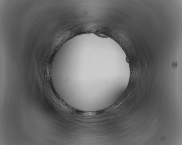 X0000093120335200709261020
