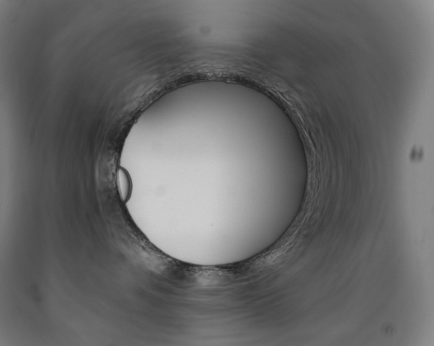 X0000093120336200709261019