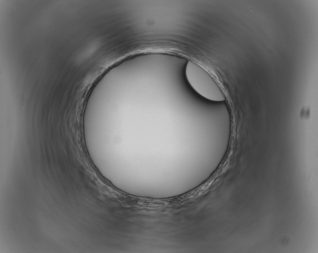 X0000093120337200709261019