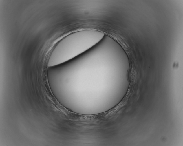 X0000093120338200709261019