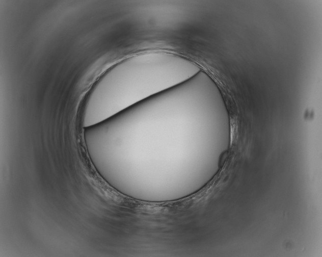 X0000093120339200709261019