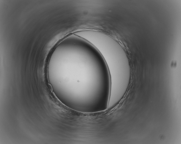 X0000093120340200709261019