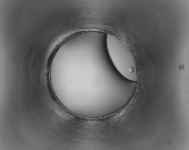 X0000093120342200709261019