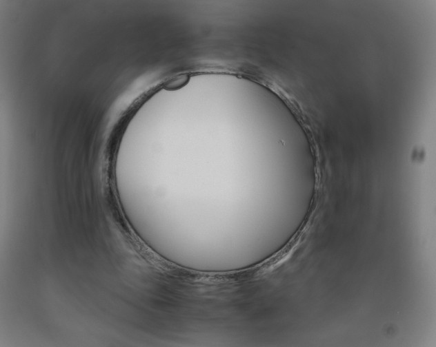 X0000093120343200709261019