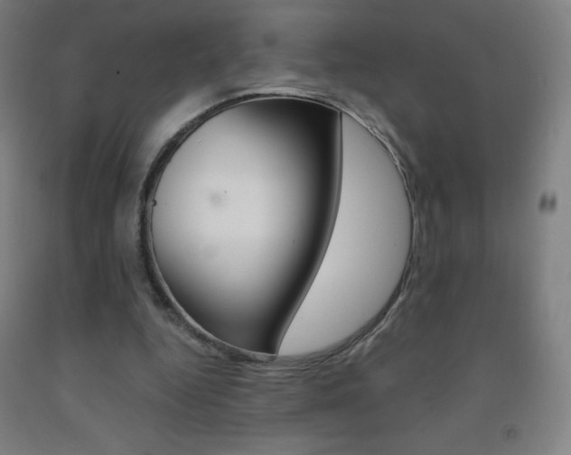 X0000093120344200709261019