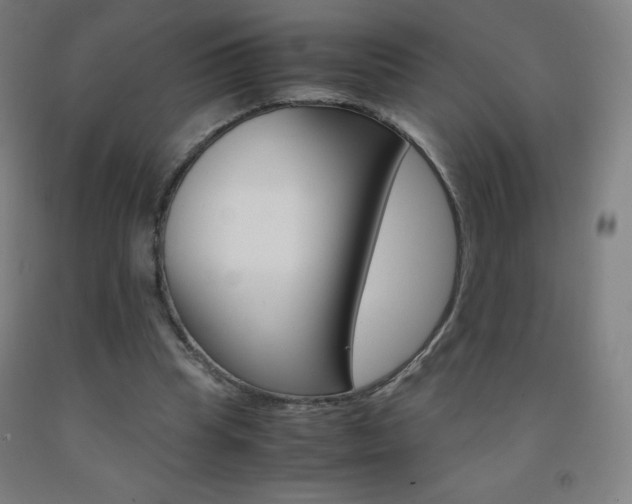 X0000093120345200709261019