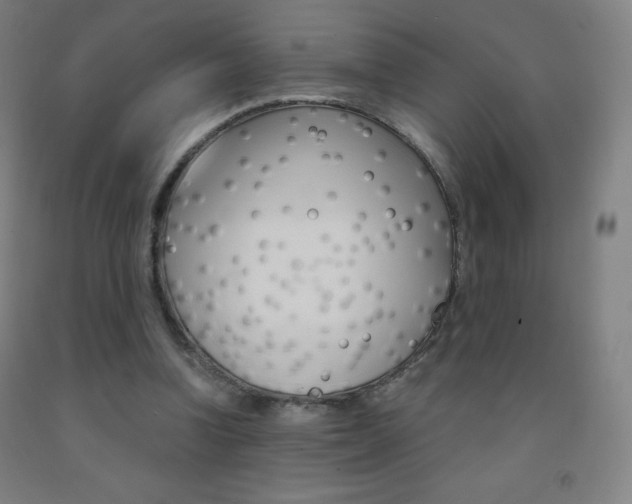 X0000093120346200709261019