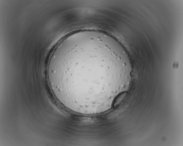 X0000093120347200709261019