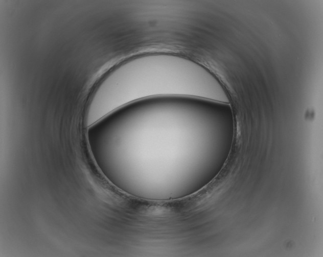 X0000093120348200709261019