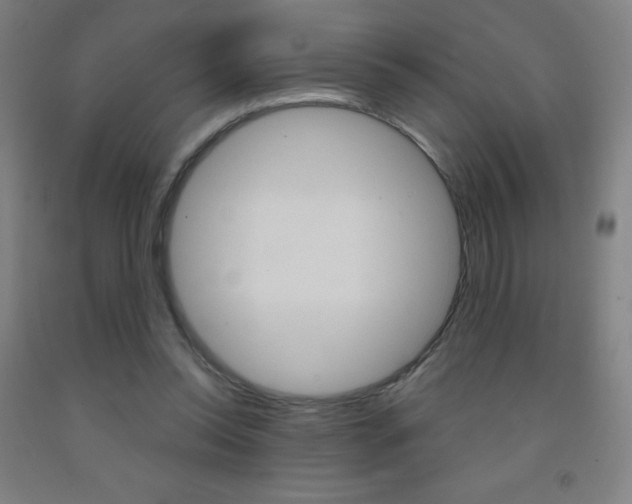X0000093120350200709261019