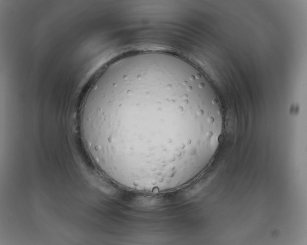 X0000093120351200709261019