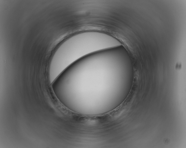 X0000093120352200709261019
