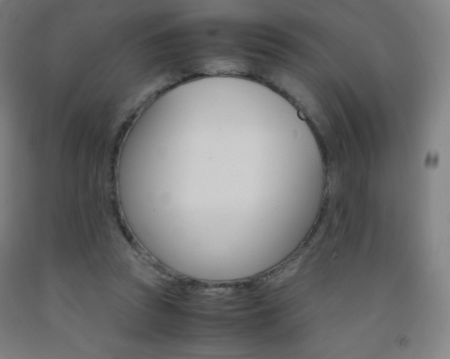 X0000093120353200709261019