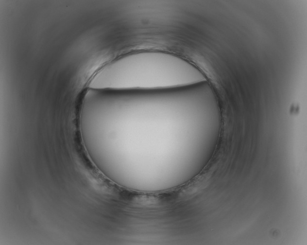 X0000093120354200709261019