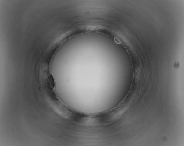 X0000093120356200709261019
