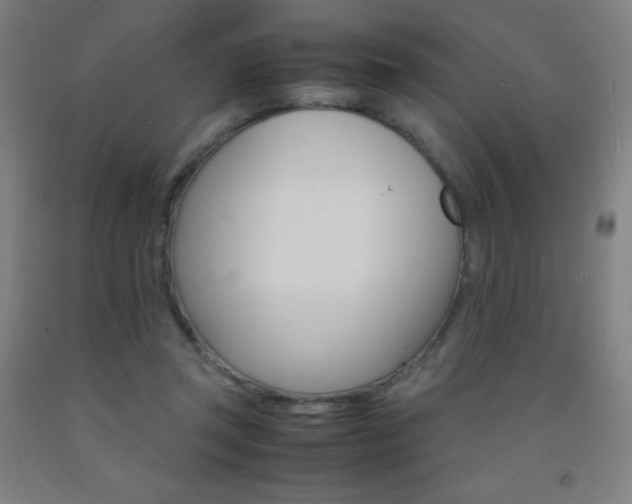 X0000093120357200709261019