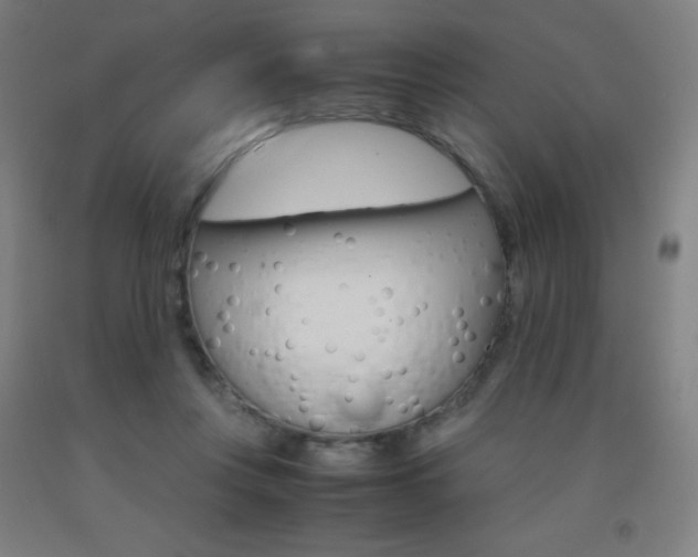 X0000093120359200709261019