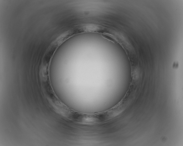 X0000093120360200709261019