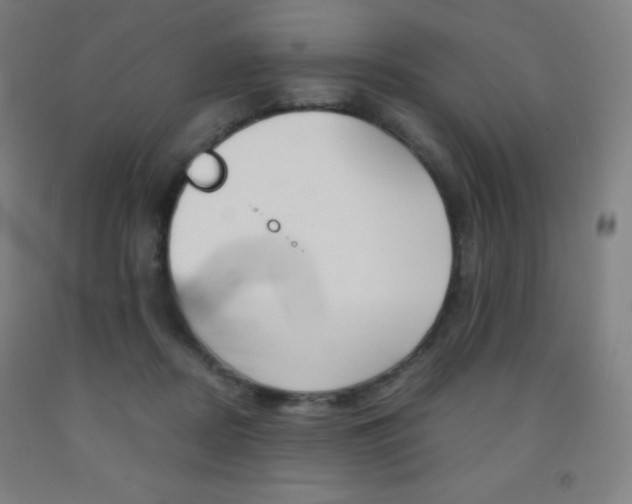 X0000093120362200709261019