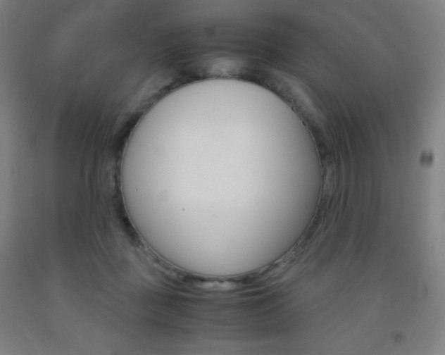 X0000093120363200709261019