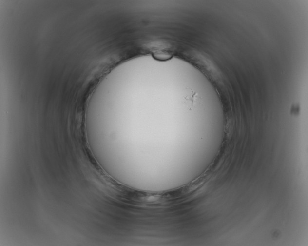 X0000093120365200709261019