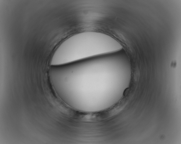 X0000093120366200709261019