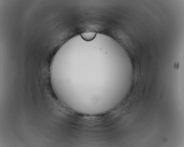 X0000093120367200709261019