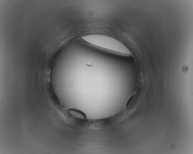 X0000093120368200709261019