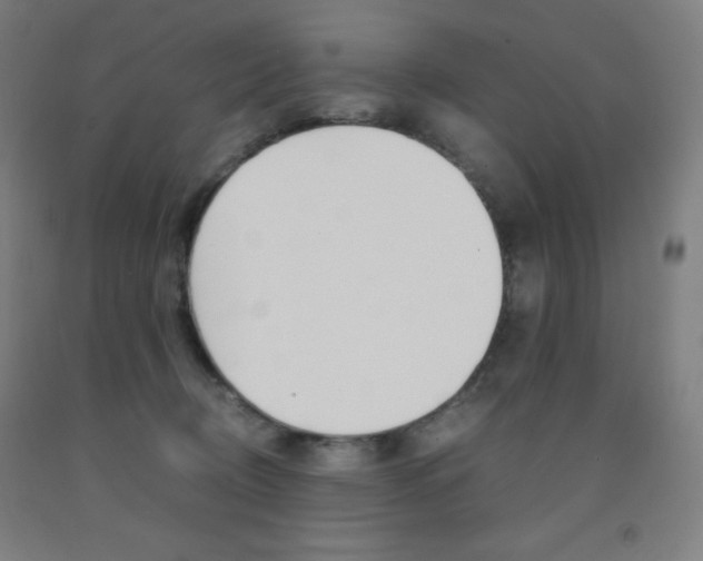 X0000093120370200709261019