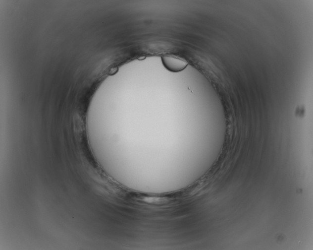 X0000093120371200709261019