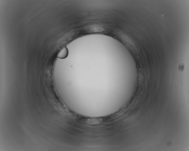 X0000093120373200709261019