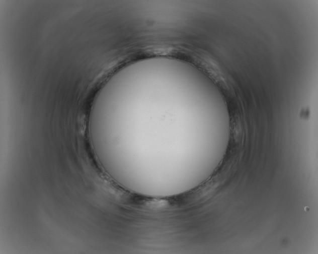 X0000093120374200709261019