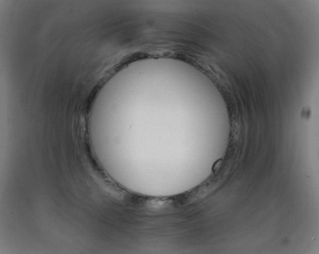 X0000093120375200709261019