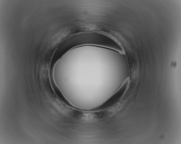 X0000093120376200709261019